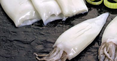 Comercio internacional de la pota congelada