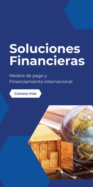 Financiamiento internacional