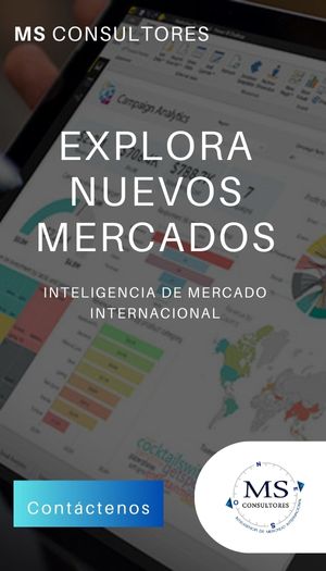 consultora en inteligencia de mercados internacionales
