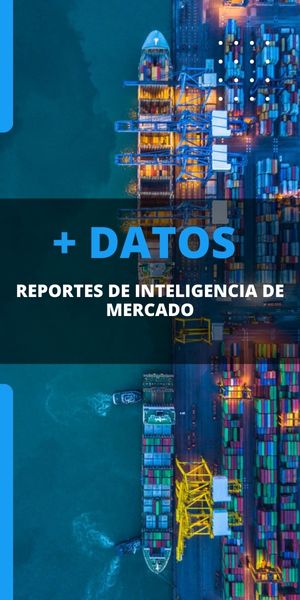 Reportes de inteligencia de mercados para exportar