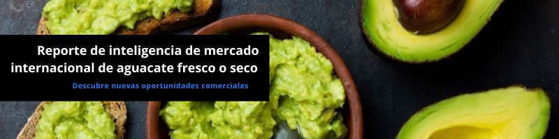 Panorama internacional de las exportación de aguacate o palta