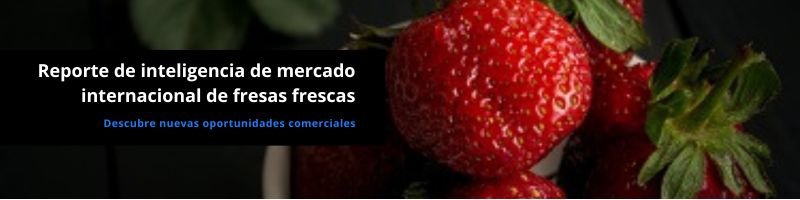 Reporte de inteligencia de mercado de fresas frescas