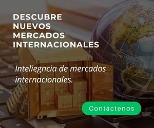 Ms consultores Perú