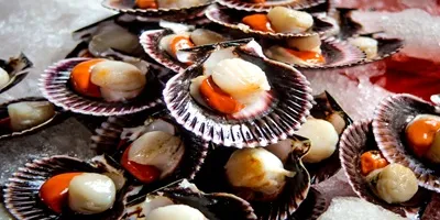 Ferias comerciales de mariscos y pescados 2026