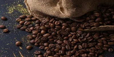 Principales ferias internacionales de café 2026