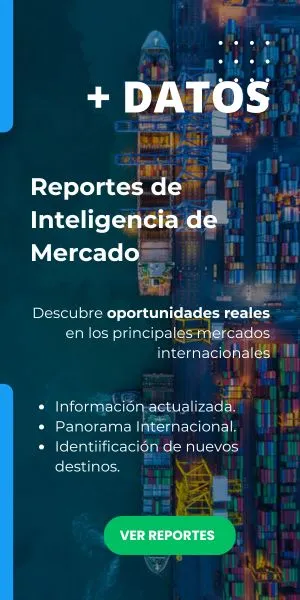 Reportes de inteligencia de mercados internacionales